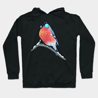 Winter bullfinch Hoodie